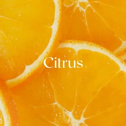 file-862ad9f987596cbbe8ceb90ec2fe49ca - Nemat Enterprises